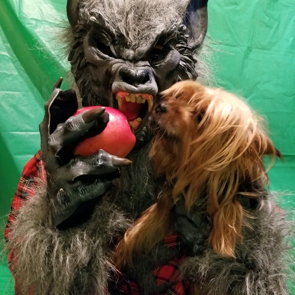 Meet your Posher, Jeremy - Picture 1 of 1